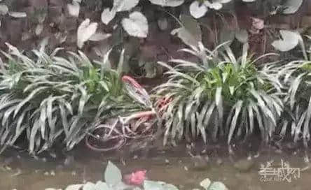 究竟,我们值不值得拥有共享单车? 究竟,我们值不值得拥有共享单车?