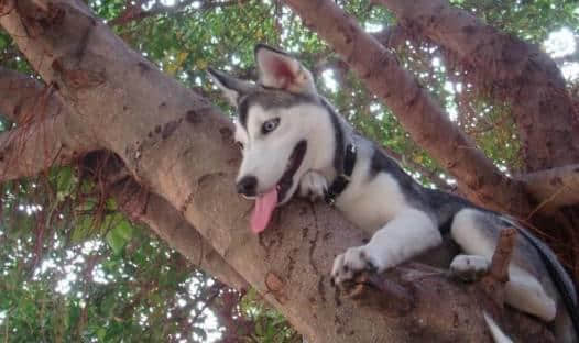 期末答疑,呢啲粤语难题唔好积到过年啦! 期末答疑,呢啲粤语难题唔好积到过年啦!