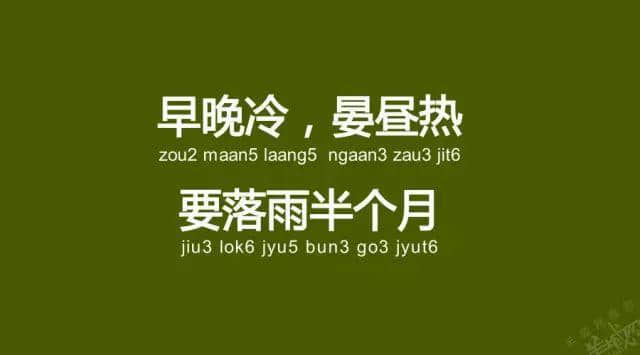 广州老司机带路,令你行少几条弯路 广州老司机带路,令你行少几条弯路