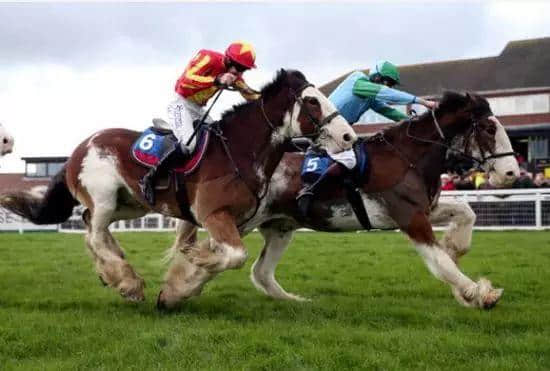 1分钟出现13个同“马”有关嘅粤语,《流氓皇帝》认真鬼马! 1分钟出现13个同“马”有关嘅粤语,《流氓皇帝》认真鬼马!