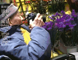 感谢你，为我哋留住咗曾经嘅广州