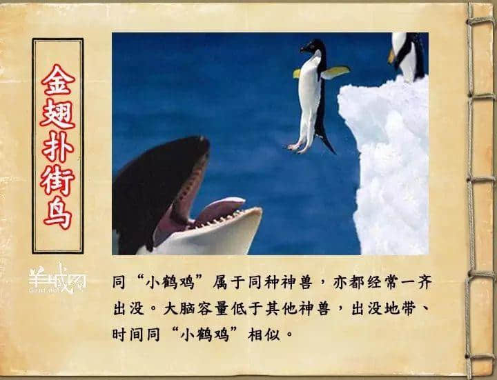 如果JK罗琳系广州人,《神奇动物在哪里》至少出7集! 如果JK罗琳系广州人,《神奇动物在哪里》至少出7集!