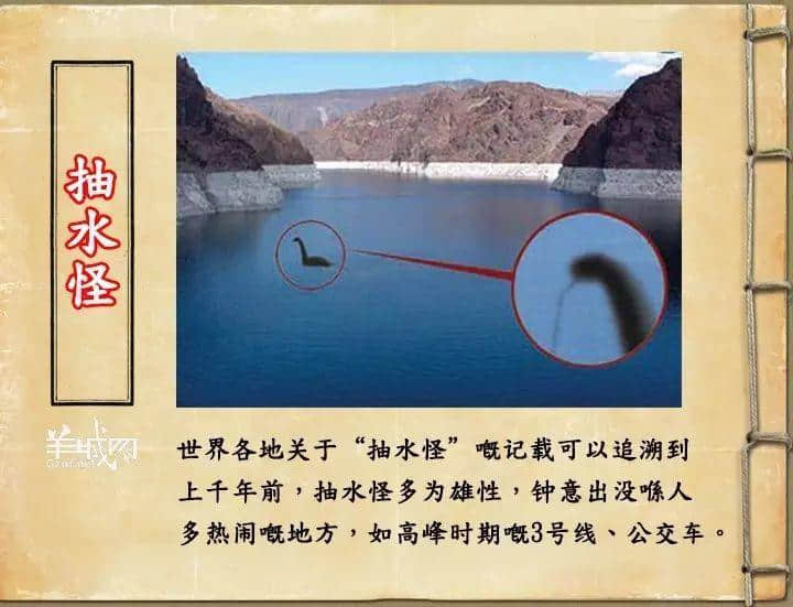 如果JK罗琳系广州人,《神奇动物在哪里》至少出7集! 如果JK罗琳系广州人,《神奇动物在哪里》至少出7集!