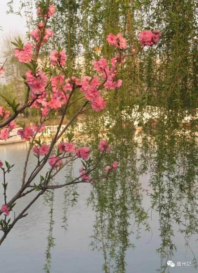 廣州都城隍庙趣史│女子情場的愛與恨(附粵語講古) 廣州都城隍庙趣史│女子情場的愛與恨(附粵語講古)