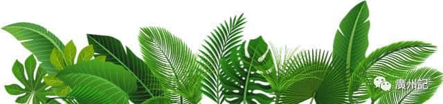 消失了的千年廣州古城中軸線—番山 消失了的千年廣州古城中軸線—番山