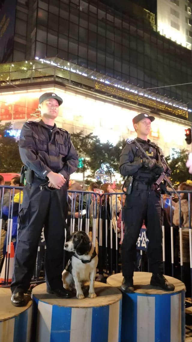 九曜坊│當年歌舞酬神悲劇處,今日花市迎春喜慶地 九曜坊│當年歌舞酬神悲劇處,今日花市迎春喜慶地