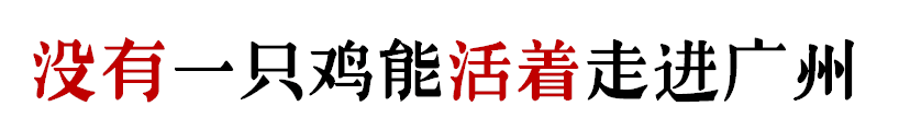 没有一只鸡能活着走出广州 没有一只鸡能活着走出广州