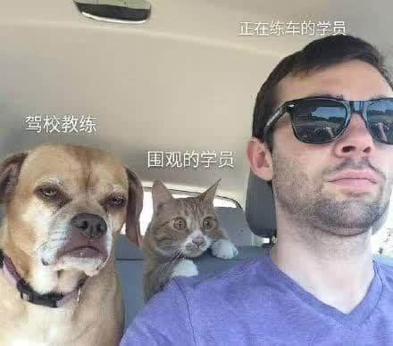 没经历过广州驾考的人,不足以谈人生 没经历过广州驾考的人,不足以谈人生