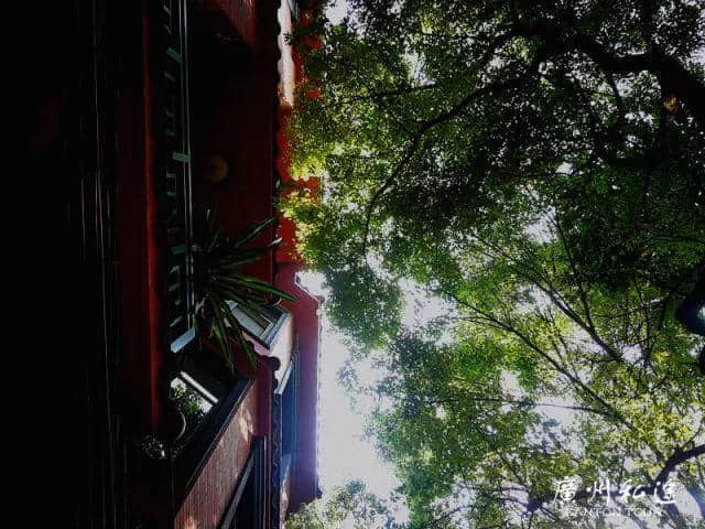 只知道东山沙面？广州闹市中的这个洋楼群，爱小资生活的你不能错过