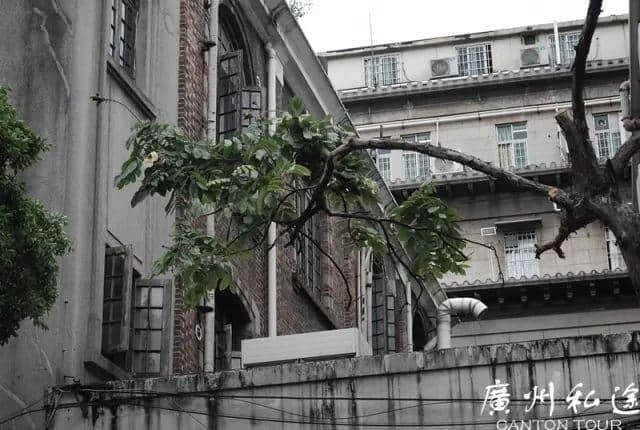 广州:那些没有灵魂的教堂 广州:那些没有灵魂的教堂