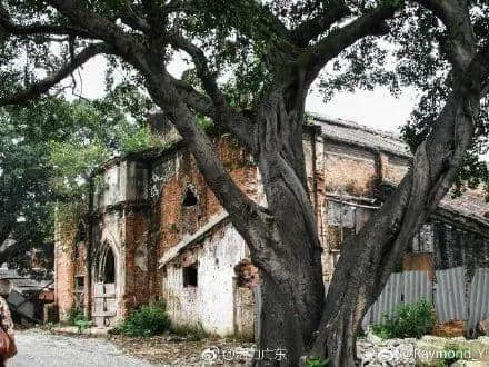 广州:那些没有灵魂的教堂 广州:那些没有灵魂的教堂