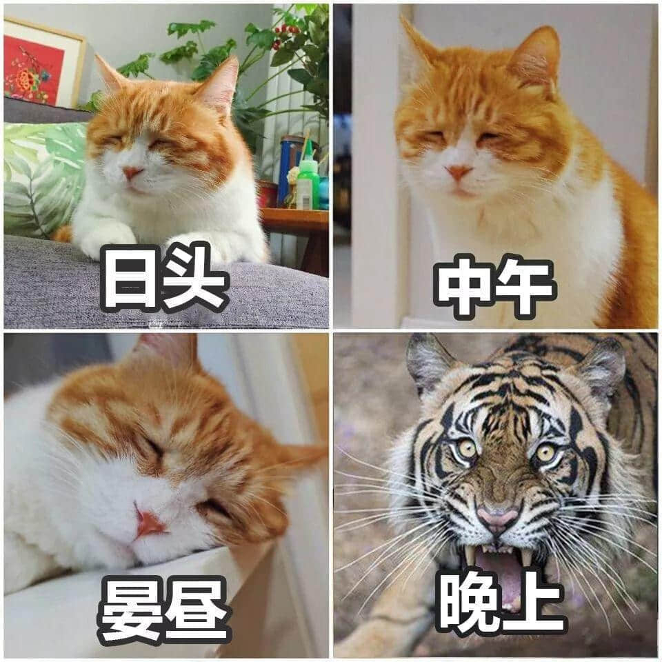 老世,无心上班唔系我嘅错,系清明嘅错! 老世,无心上班唔系我嘅错,系清明嘅错!