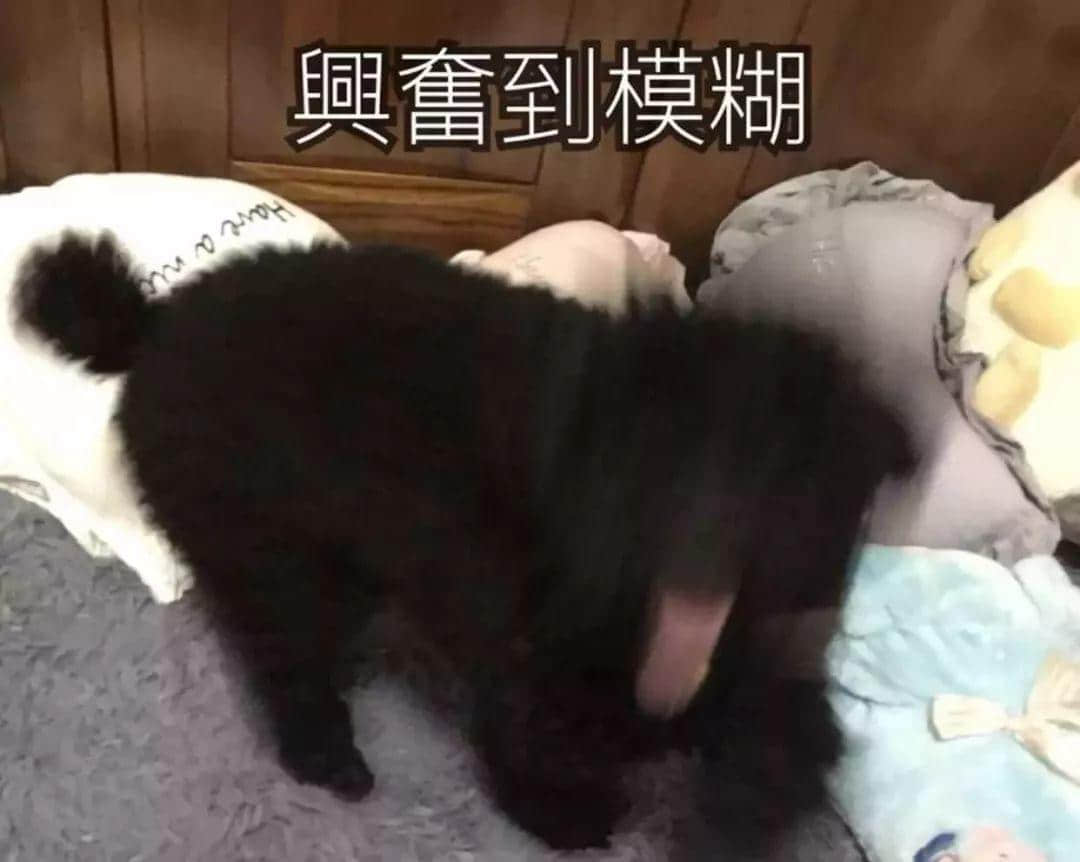 老世,无心上班唔系我嘅错,系清明嘅错! 老世,无心上班唔系我嘅错,系清明嘅错!