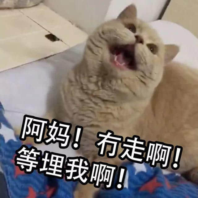 广东讲鬼故边个最劲?连罗兰姐都输畀佢哋! 广东讲鬼故边个最劲?连罗兰姐都输畀佢哋!