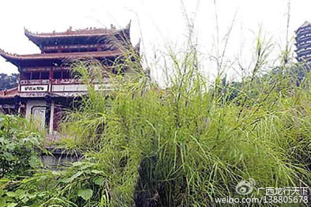 广州8090:我哋童年回忆里嘅乐园 广州8090:我哋童年回忆里嘅乐园