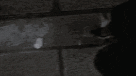 淼淼淼淼淼 | 朋友圈暴雨刷屏,我只服广州人 淼淼淼淼淼 | 朋友圈暴雨刷屏,我只服广州人