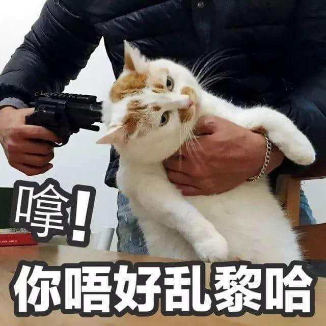 99%的广州阿妈都说过这些话,你听过哪几句? 99%的广州阿妈都说过这些话,你听过哪几句?