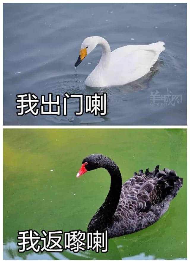 喺广州,打败我嘅唔系人潮大军,而系热到抽筋 喺广州,打败我嘅唔系人潮大军,而系热到抽筋