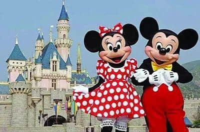 大半个世纪过去了,它们怎么还在恋爱? 大半个世纪过去了,它们怎么还在恋爱?