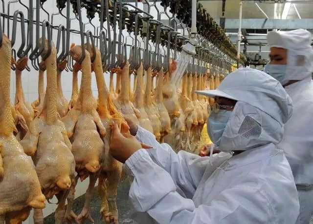 “从春广场到冬广场,我走了三年” | 细数珠江新城槽点 “从春广场到冬广场,我走了三年” | 细数珠江新城槽点