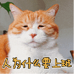 识用表情包,方为真咸鱼 识用表情包,方为真咸鱼