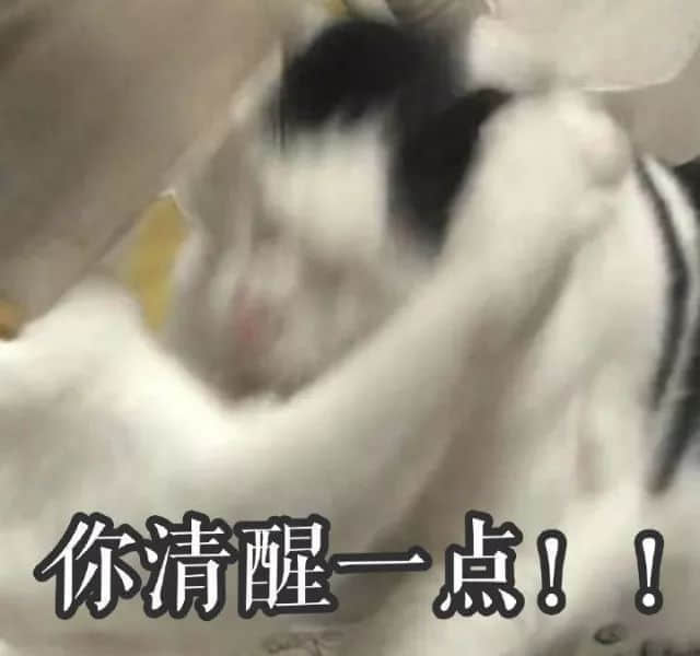 识用表情包,方为真咸鱼 识用表情包,方为真咸鱼