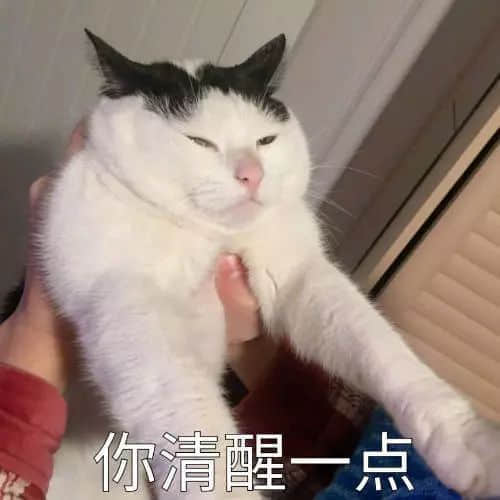 识用表情包,方为真咸鱼 识用表情包,方为真咸鱼