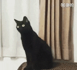 识用表情包,方为真咸鱼 识用表情包,方为真咸鱼