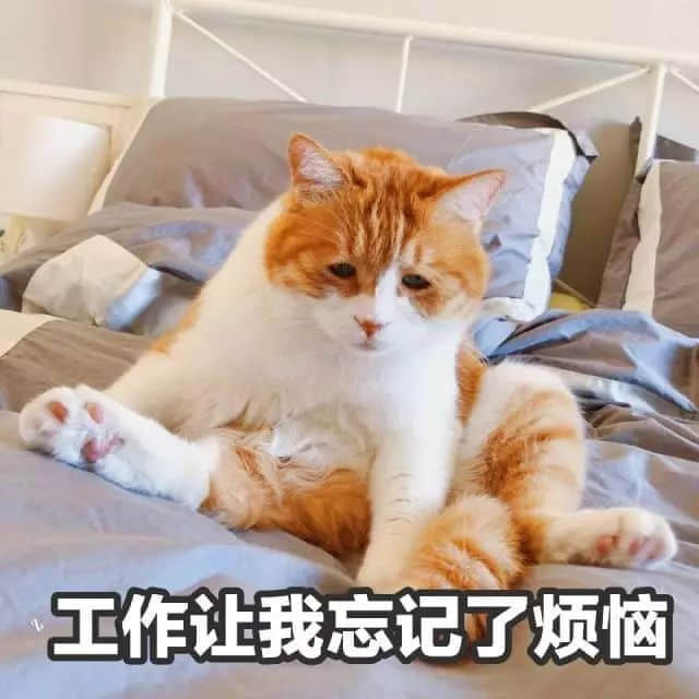 识用表情包,方为真咸鱼 识用表情包,方为真咸鱼