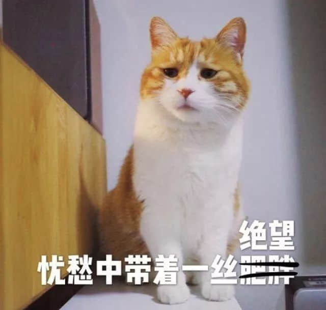 没经历过高温停电，都不好意思说自己是广州人