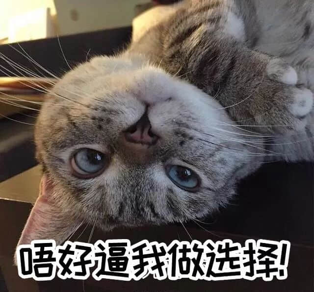 2018年高考广州卷试题曝光,连土生广州人都做到崩溃! 2018年高考广州卷试题曝光,连土生广州人都做到崩溃!