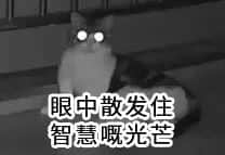 2018年高考广州卷试题曝光,连土生广州人都做到崩溃! 2018年高考广州卷试题曝光,连土生广州人都做到崩溃!