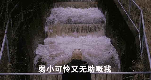 广州人:穷我都未惊过,我会惊台风+暴雨? 广州人:穷我都未惊过,我会惊台风+暴雨?