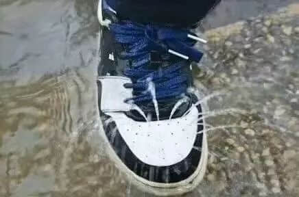 广州人:穷我都未惊过,我会惊台风+暴雨? 广州人:穷我都未惊过,我会惊台风+暴雨?