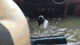 广州人:穷我都未惊过,我会惊台风+暴雨? 广州人:穷我都未惊过,我会惊台风+暴雨?