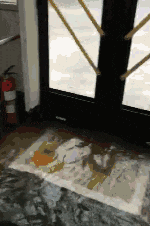 广州人:穷我都未惊过,我会惊台风+暴雨? 广州人:穷我都未惊过,我会惊台风+暴雨?