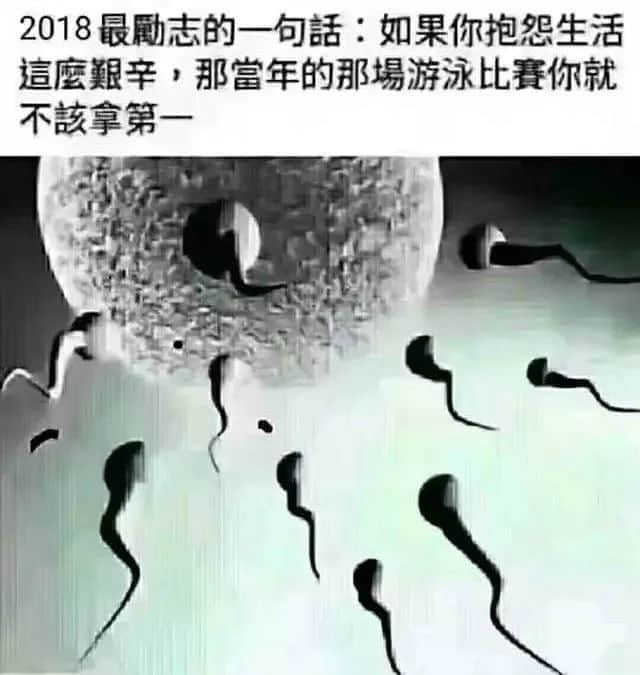 广州人:穷我都未惊过,我会惊台风+暴雨? 广州人:穷我都未惊过,我会惊台风+暴雨?