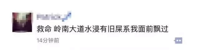 落汤鸡一样嘅广州人,仲比唔上一条鱼 落汤鸡一样嘅广州人,仲比唔上一条鱼