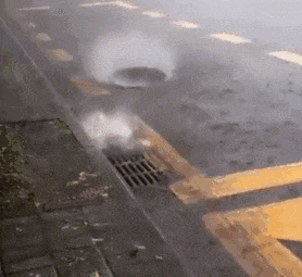 落汤鸡一样嘅广州人,仲比唔上一条鱼 落汤鸡一样嘅广州人,仲比唔上一条鱼