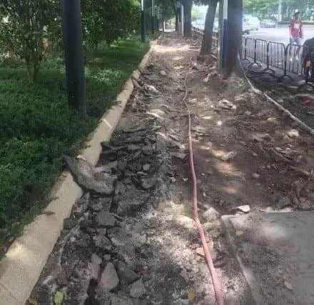 落汤鸡一样嘅广州人,仲比唔上一条鱼 落汤鸡一样嘅广州人,仲比唔上一条鱼