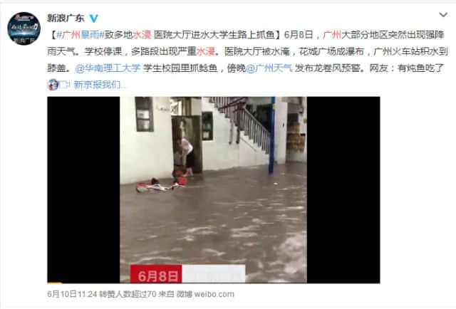 落汤鸡一样嘅广州人,仲比唔上一条鱼 落汤鸡一样嘅广州人,仲比唔上一条鱼