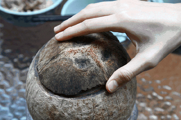 “食在广州”是不是名过其实? “食在广州”是不是名过其实?