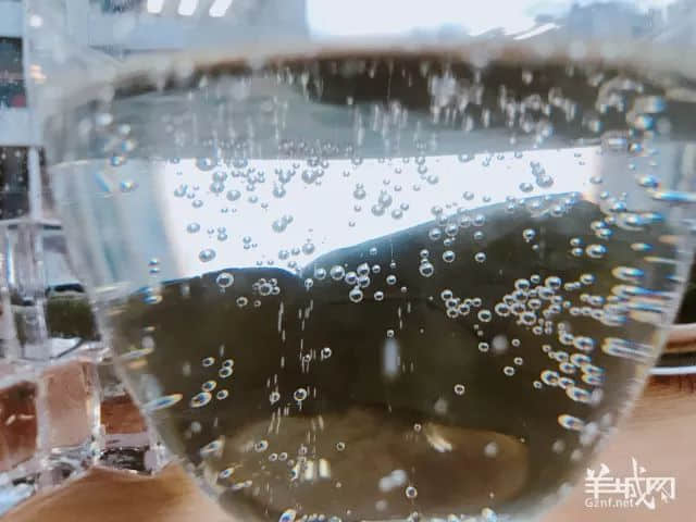 广东人咩都食?Sorry,一罐肥宅水就令我放弃广东人嘅尊严! 广东人咩都食?Sorry,一罐肥宅水就令我放弃广东人嘅尊严!