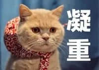 如果有一天,广州的下一代不会讲广州话 如果有一天,广州的下一代不会讲广州话