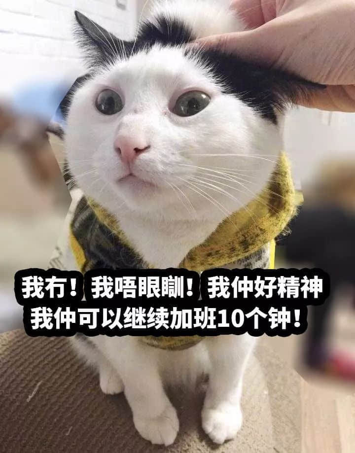 世纪大难题:点解日日瞓咁少仲咁穷? 世纪大难题:点解日日瞓咁少仲咁穷?