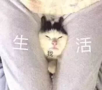 黄子华讲过,我有份工叫阴公,咁广州人返工究竟有几难? 黄子华讲过,我有份工叫阴公,咁广州人返工究竟有几难?