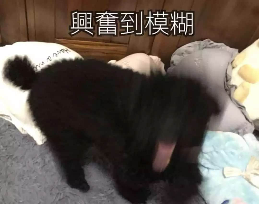 死逃行者大富翁,你可以行几多步? 死逃行者大富翁,你可以行几多步?