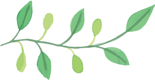 老广本初之味 老广本初之味