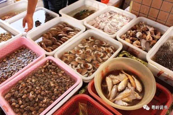 漫步南沙,所到之处都是风景 漫步南沙,所到之处都是风景