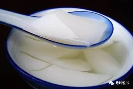 做一日识食广州人 做一日识食广州人